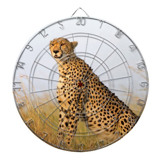Tabla Dardos Cheetah (Frente)