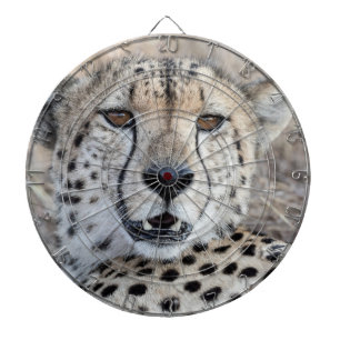 Tabla Dardos Cheetah Portrait