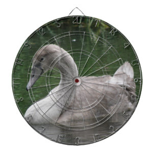 Tabla Dardos Cisne Gracioso no Conselho de Arte da Água