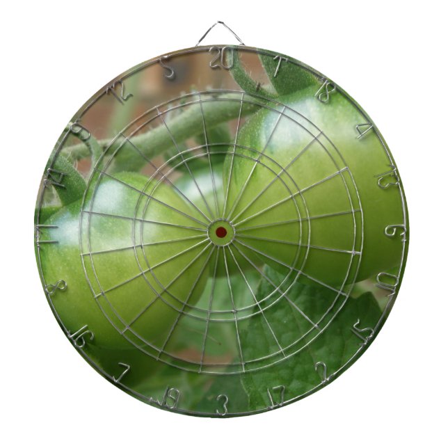 Tabla Dardos Dart Board de Tomates Verdes (Frente)