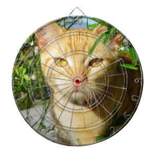 Tabla Dardos Dartboard bonito do gato!