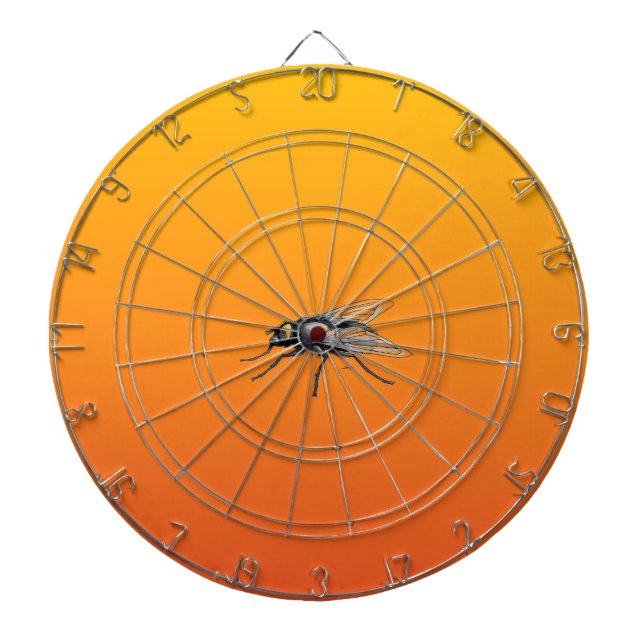 Tabla Dardos Dartboard Fly Buddy (Frente)
