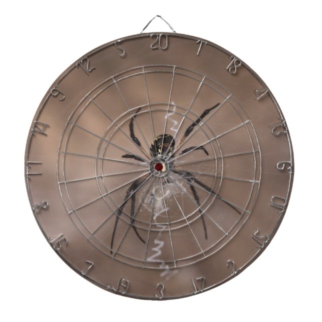 Tabla Dardos Dartboard Spider (Frente)
