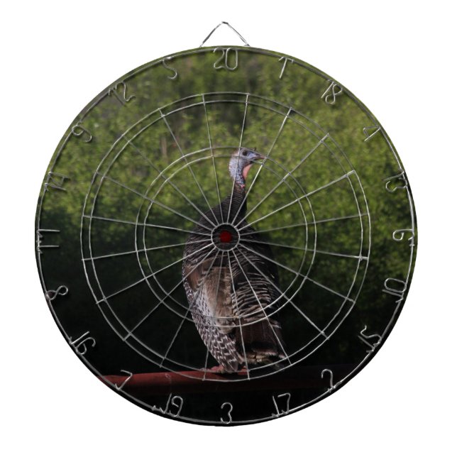 Tabla Dardos Diretório Dart do Kansas Turquia (Frente)