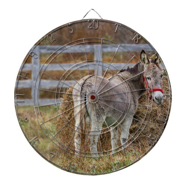 Tabla Dardos Donkey Tail (Frente)