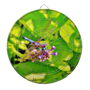 Tabla Dardos Dragonfly de cor arco-íris numa flor rosa púrpura