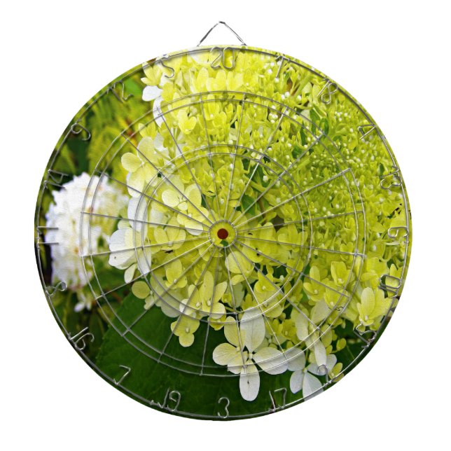 Tabla Dardos Elegante Hortênsia Limelight Verde Chartreuse (Frente)