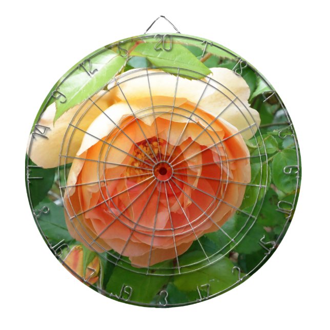 Tabla Dardos Elegante Laranja Blush Rosa (Frente)