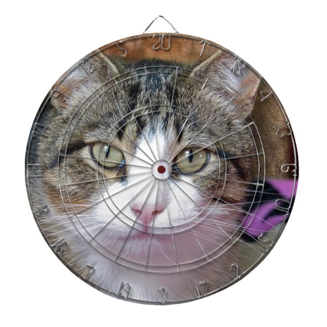 Tabla Dardos Estou pensando. (Frente)