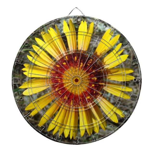Tabla Dardos F1 Flor Amarela Selvagem Gaillardia (Frente)
