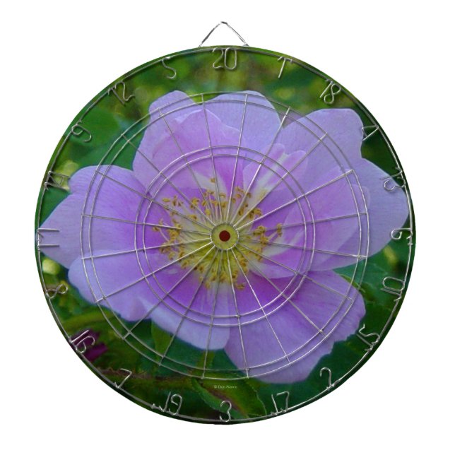 Tabla Dardos F37 Rosa Silvestre (Frente)