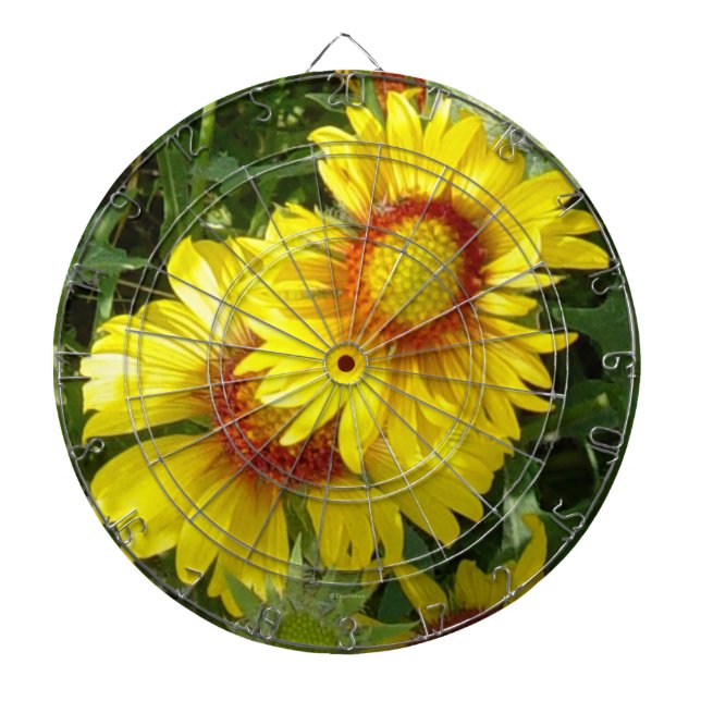 Tabla Dardos F6 Amarelas Flores Silvestres Gaillardia (Frente)
