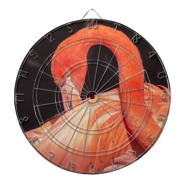 Tabla Dardos Flamingo Dartboard (Frente)