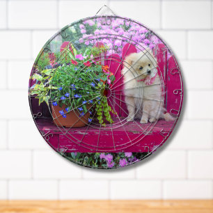 Tabla Dardos Floffy Pomerania Puppy no banco de jardim russo
