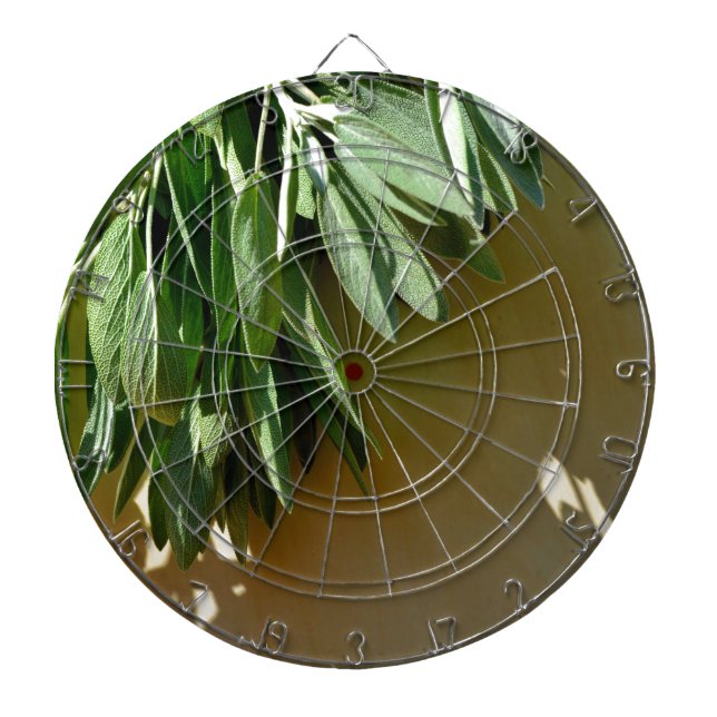 Tabla Dardos Folhas botânicas verdes Elegantes Plantas aromátic (Frente)