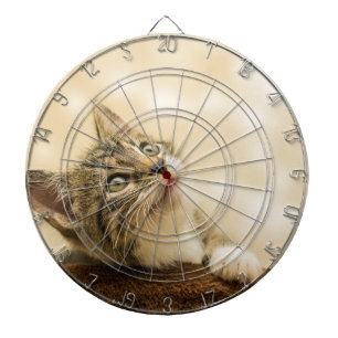 Tabla Dardos Gatinho Bonito com Pata Estendida