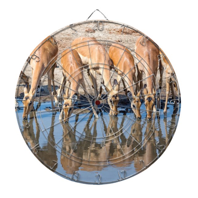 Tabla Dardos Impalas no cais (Frente)