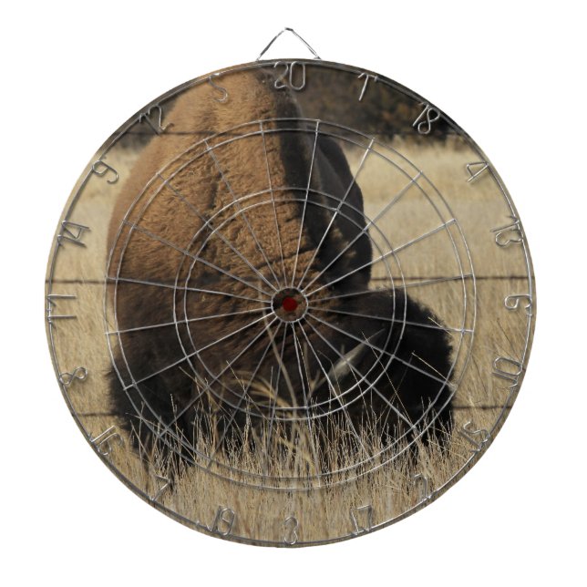 Tabla Dardos Kansas Buffalo em Pasture DART BOARD (Frente)