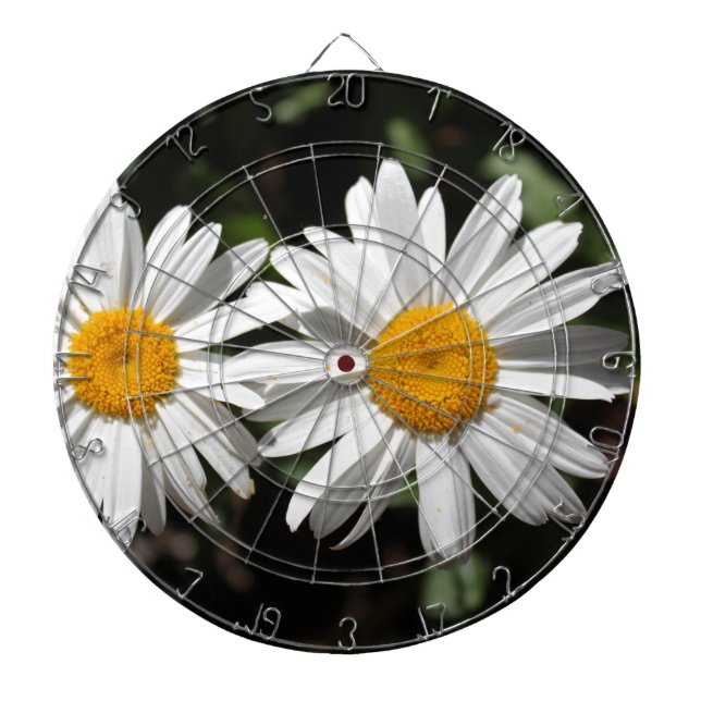 Tabla Dardos Lindas flores de margarida brancas puras (Frente)