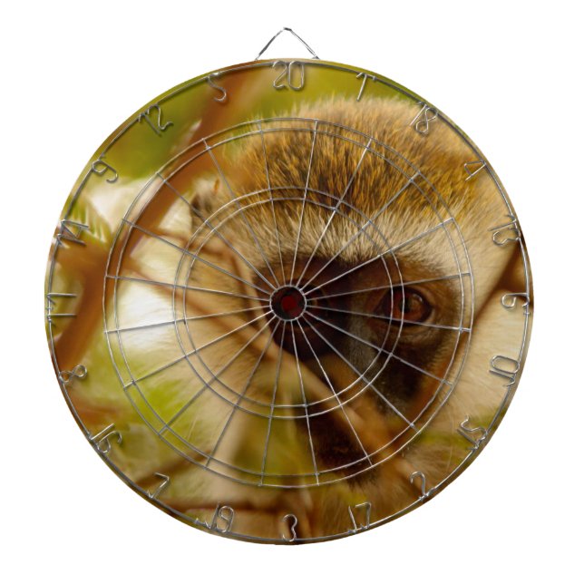 Tabla Dardos Macaco Cheeky. (Frente)