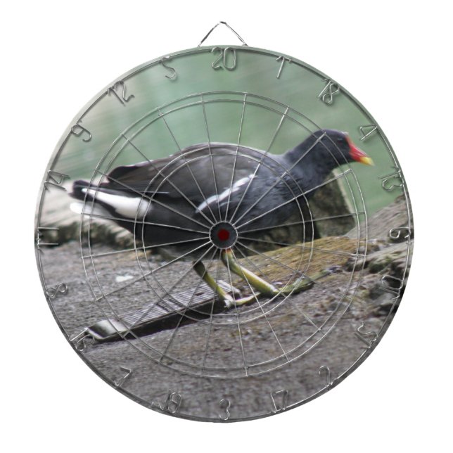 Tabla Dardos Moorhen Dart Board (Frente)