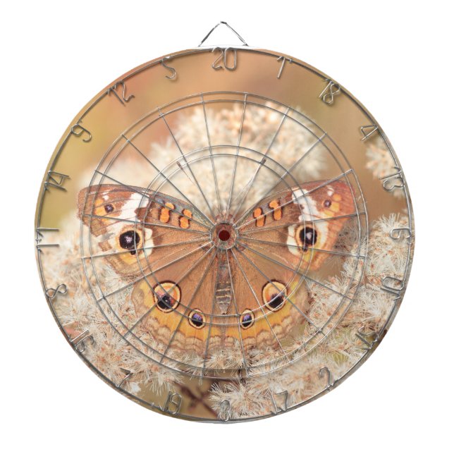 Tabla Dardos Painéis com borboleta buckeye (Frente)