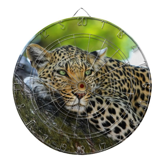 Tabla Dardos Painel de Arte Leopard (Frente)