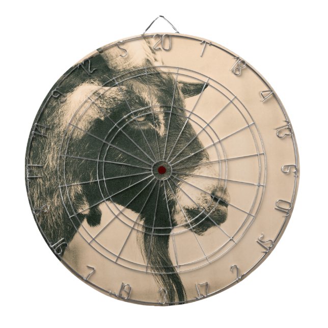 Tabla Dardos Perfil de destino (Frente)