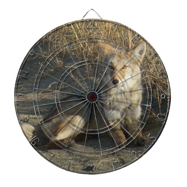 Tabla Dardos R19 Coyote Deitado (Frente)