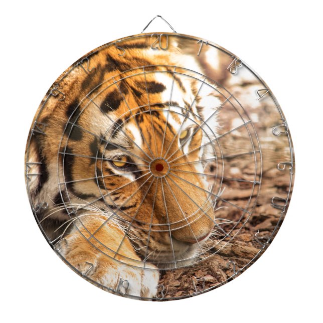 Tabla Dardos Raio de Tigre (Frente)