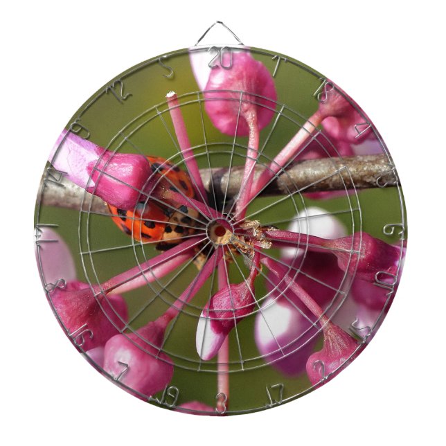 Tabla Dardos Redbud florescente com Ladybug (Frente)