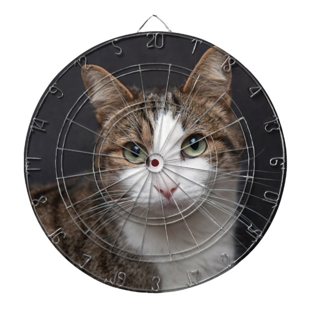 Tabla Dardos Tabby Cat com olhos verdes contra fundo preto (Frente)