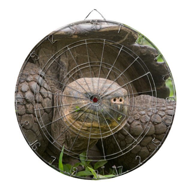Tabla Dardos Tartaruga gigante (Frente)
