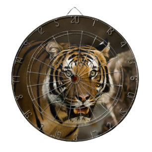 Tabla Dardos Tigre Siberiano