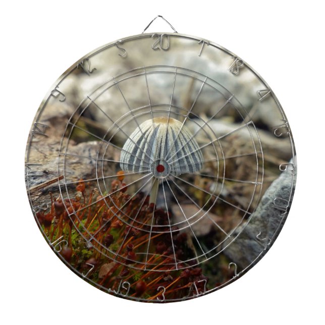 Tabla Dardos Toadstool pequenina (Frente)
