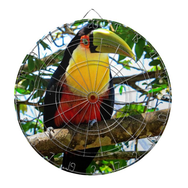 Tabla Dardos Toucan Dartboard (Frente)