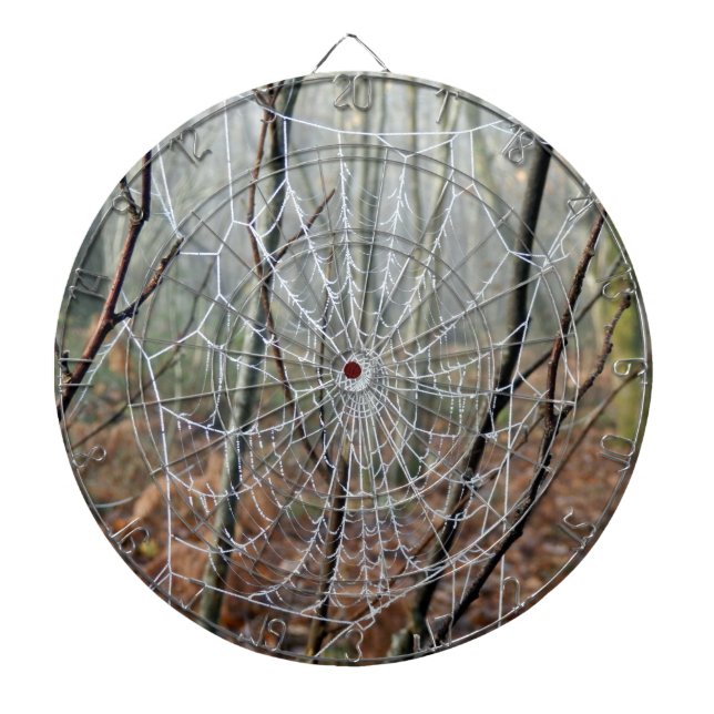 Tabla Dardos Web of European Garden Spider Dartboard (Frente)