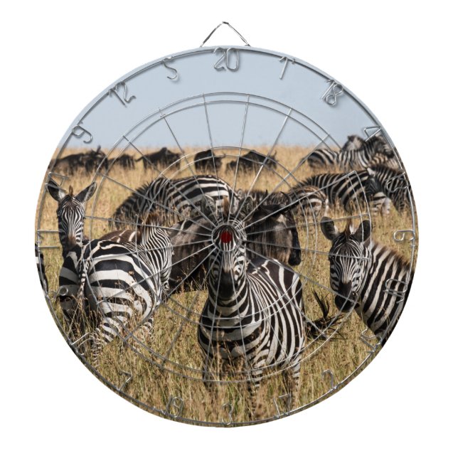 Tabla Dardos Zebra do Grant (Frente)