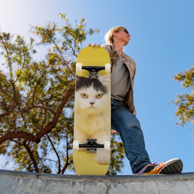Tabla de skate Cachorro Gato Persa (Ao ar livre 1)