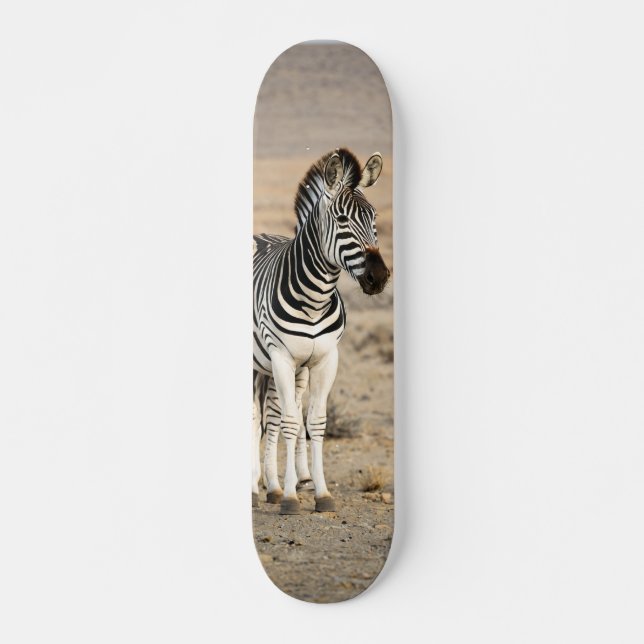 Tabla de Skate Cebra Animal Salvaje (Frente)