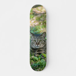 Tabla de Skate Gato Gris Atigrado en un Prado