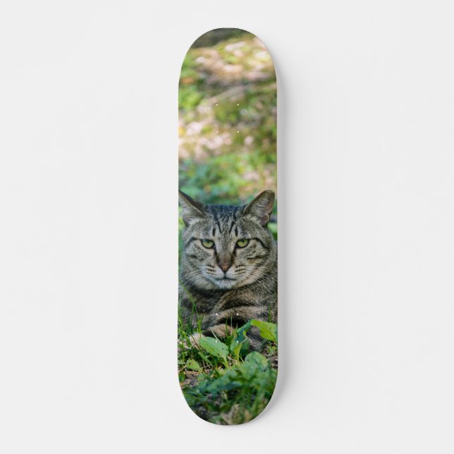 Tabla de Skate Gato Gris Atigrado en un Prado (Frente)
