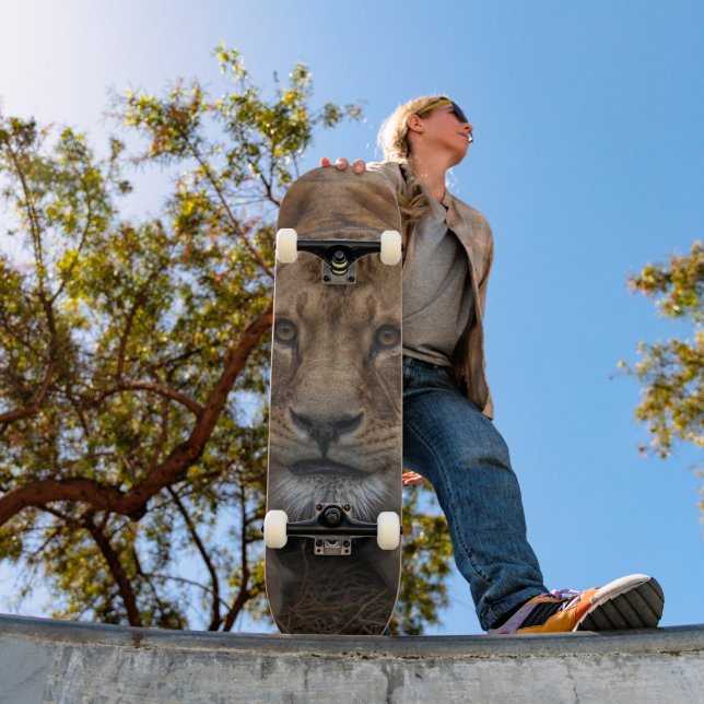 Tabla de Skate León Atento para Cazar (Ao ar livre 1)
