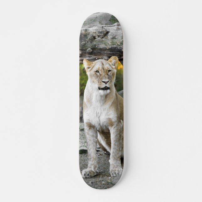Tabla de Skate Leona Salvaje Sentada (Frente)
