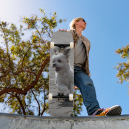 Tabla de Skate Perrito Peludo Blanco Corriendo
