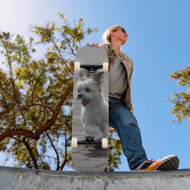 Tabla de Skate Perrito Peludo Blanco Corriendo (Ao ar livre 1)