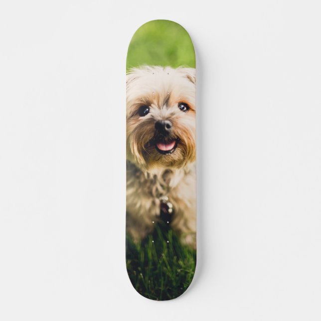 Tabla de Skate Perrito Terrier Adorable (Frente)