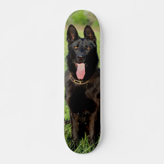 Tabla de Skate Perro Pastor Alemán Negro Sentado