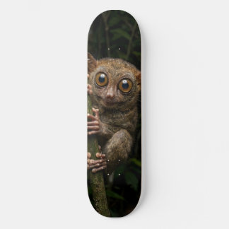 Tabla de Skate Tarsero Pequeño Primate en el Árbol