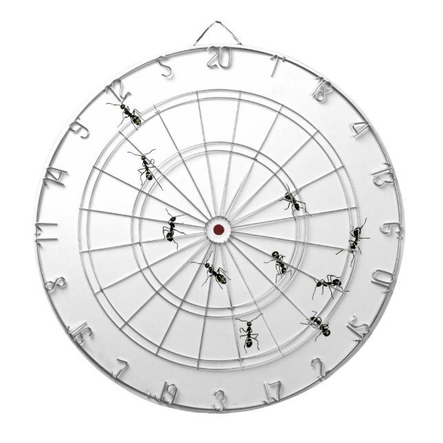 Tablero Dardos 10 formigas (Frente)